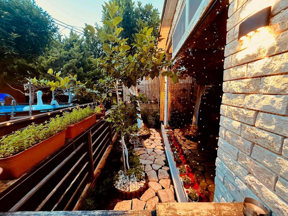 Paradise Rabab Apartment & Guesthouse 하이파 외부 사진